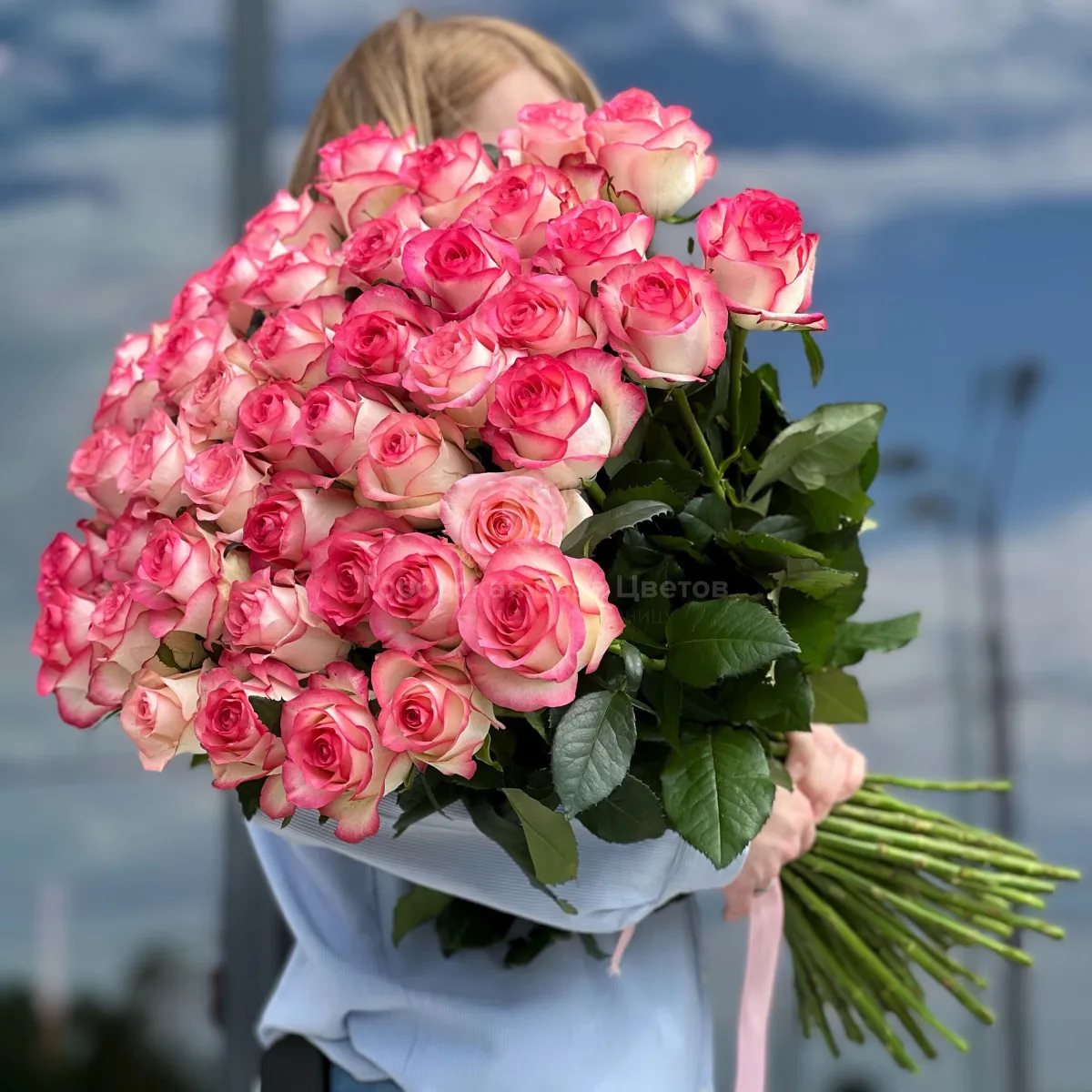 57 бело-розовых роз (60 см)