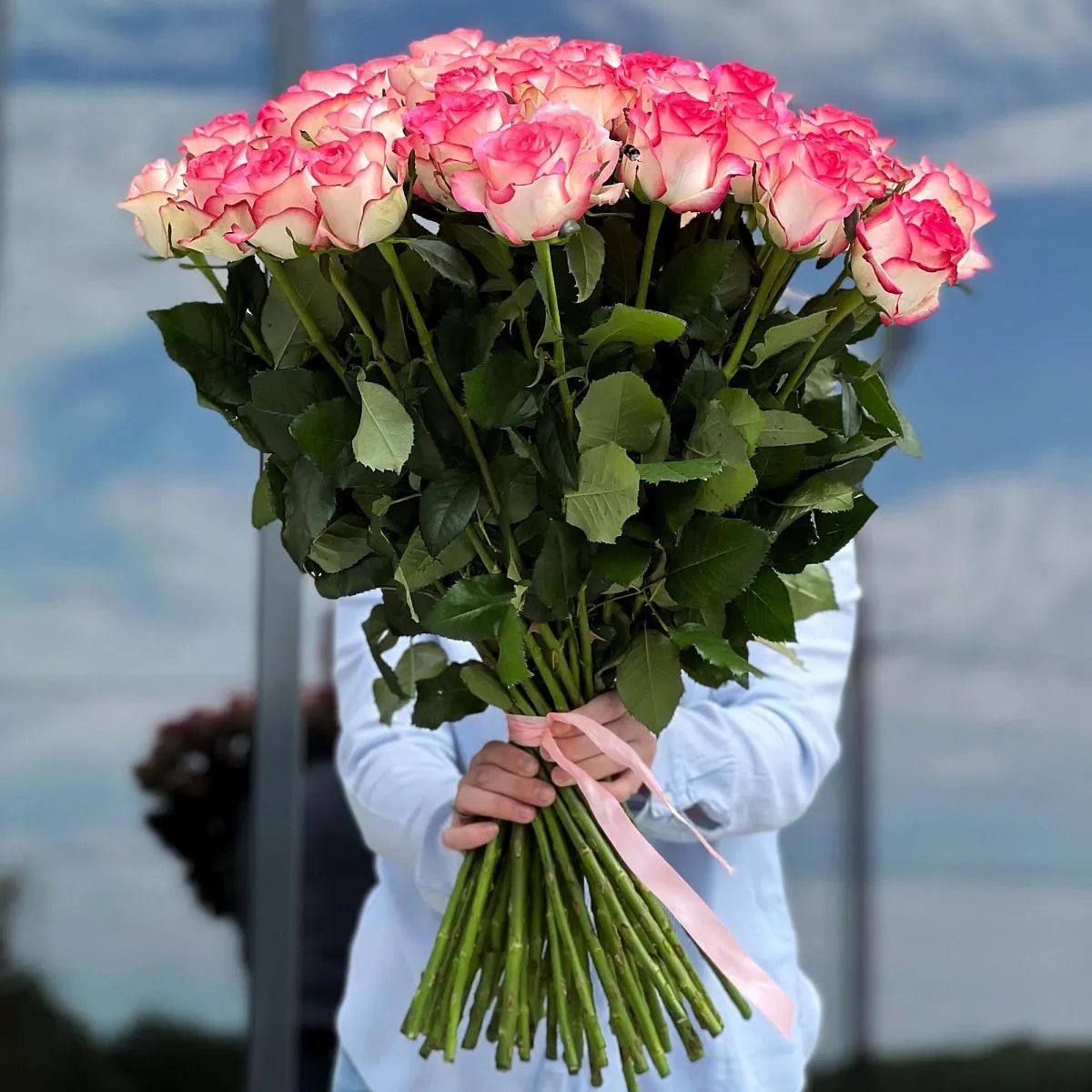 53 бело-розовых роз (60 см)