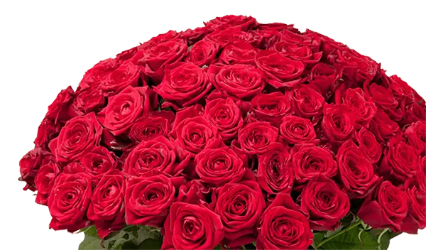 flower-image
