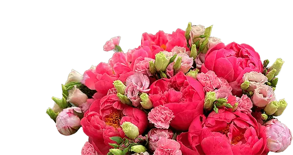 flower-image