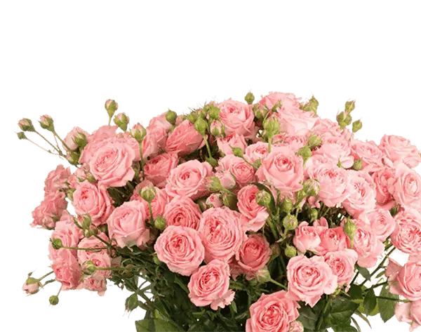 flower-image